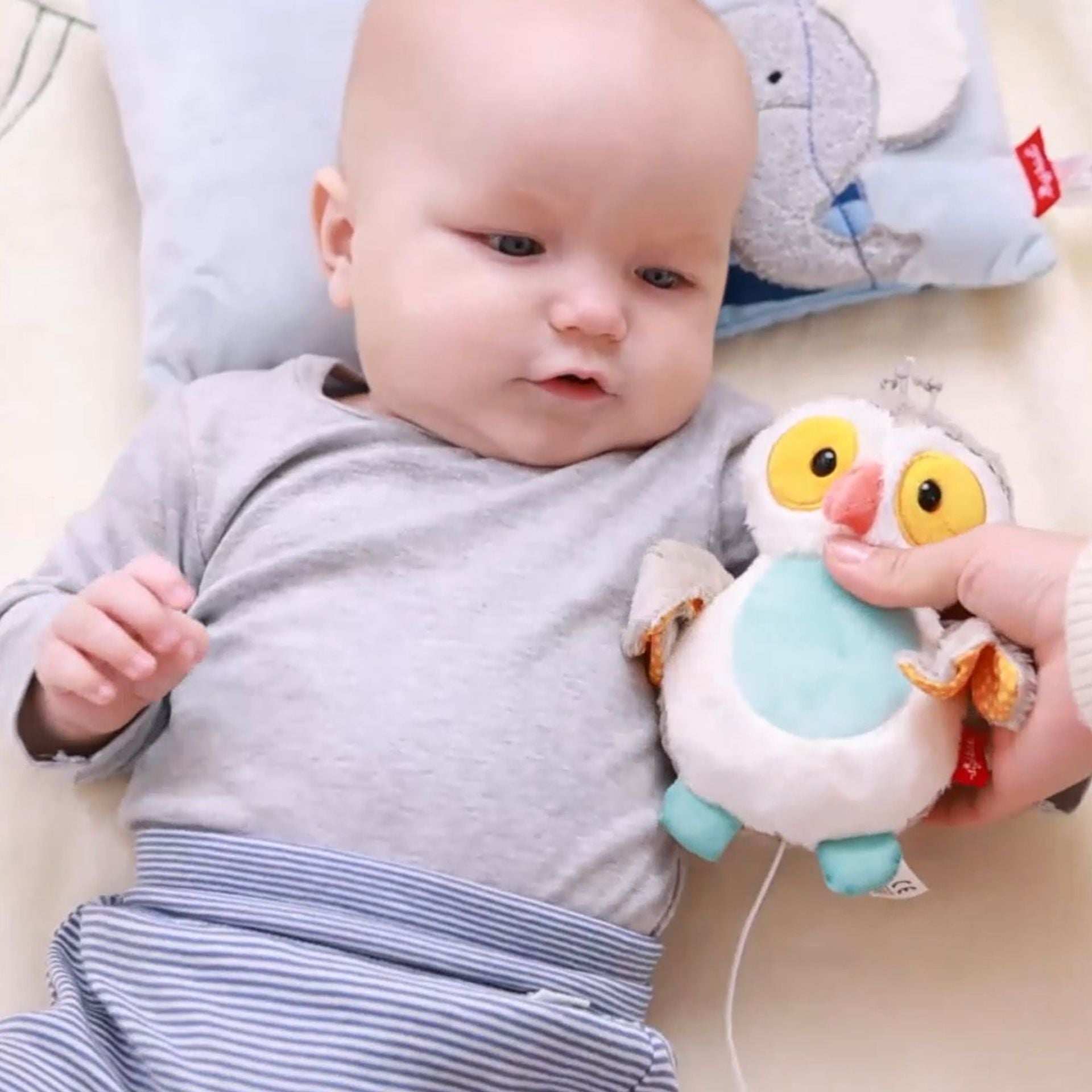 Sigikid Mini-Spieluhr Eule mit "Harry Potter Theme"