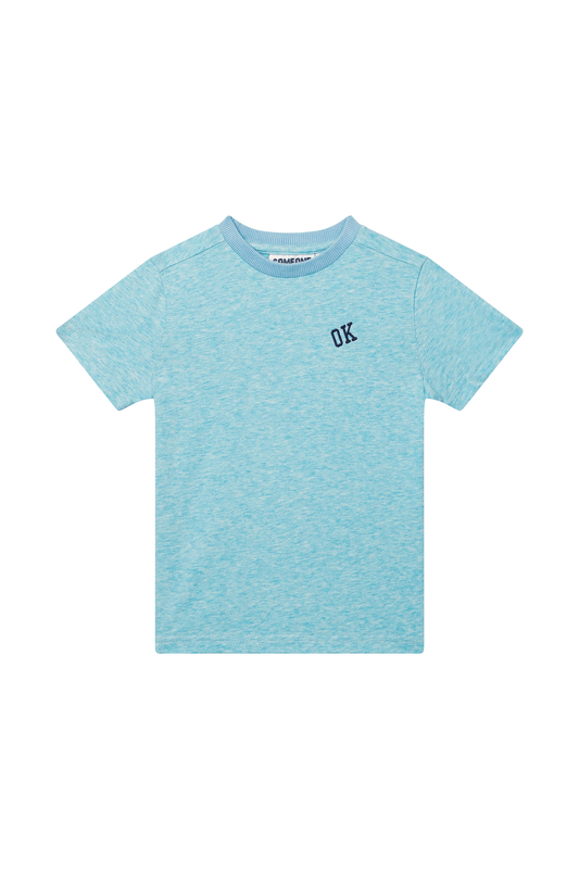 Someone T-Shirt mit Aufdruck - Light Blue Melange
