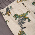 Bild in Galerie-Betrachter laden, Minymo "Boxer Pants" Dppelpack mit Dinos - Beige Melange
