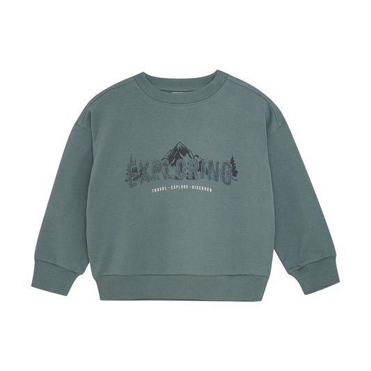 En Fant "Sweatshirt" mit Dino - Balsam Green