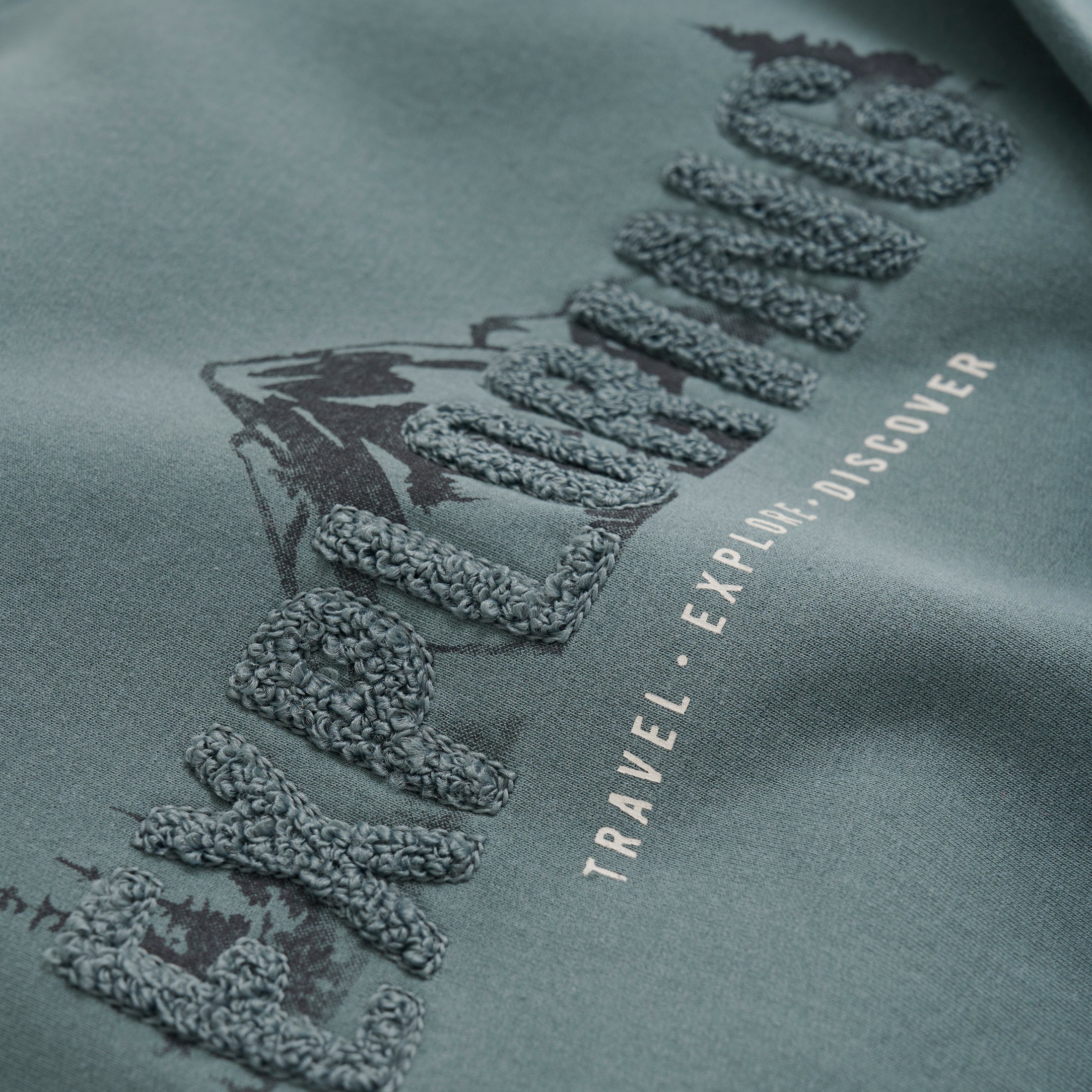 En Fant "Sweatshirt" mit Dino - Balsam Green