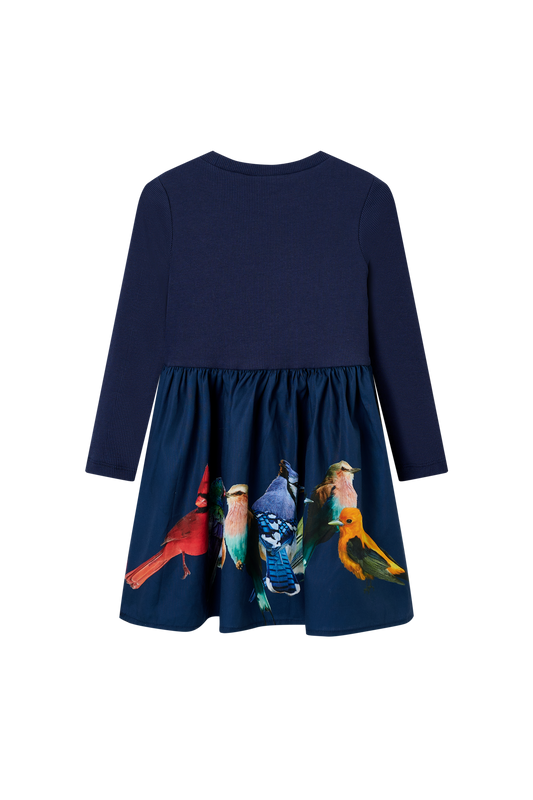 Someone "Kleid"