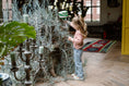Bild in Galerie-Betrachter laden, Daily Seven "T-Shirt langarm, gestreift" - Baked Apple
