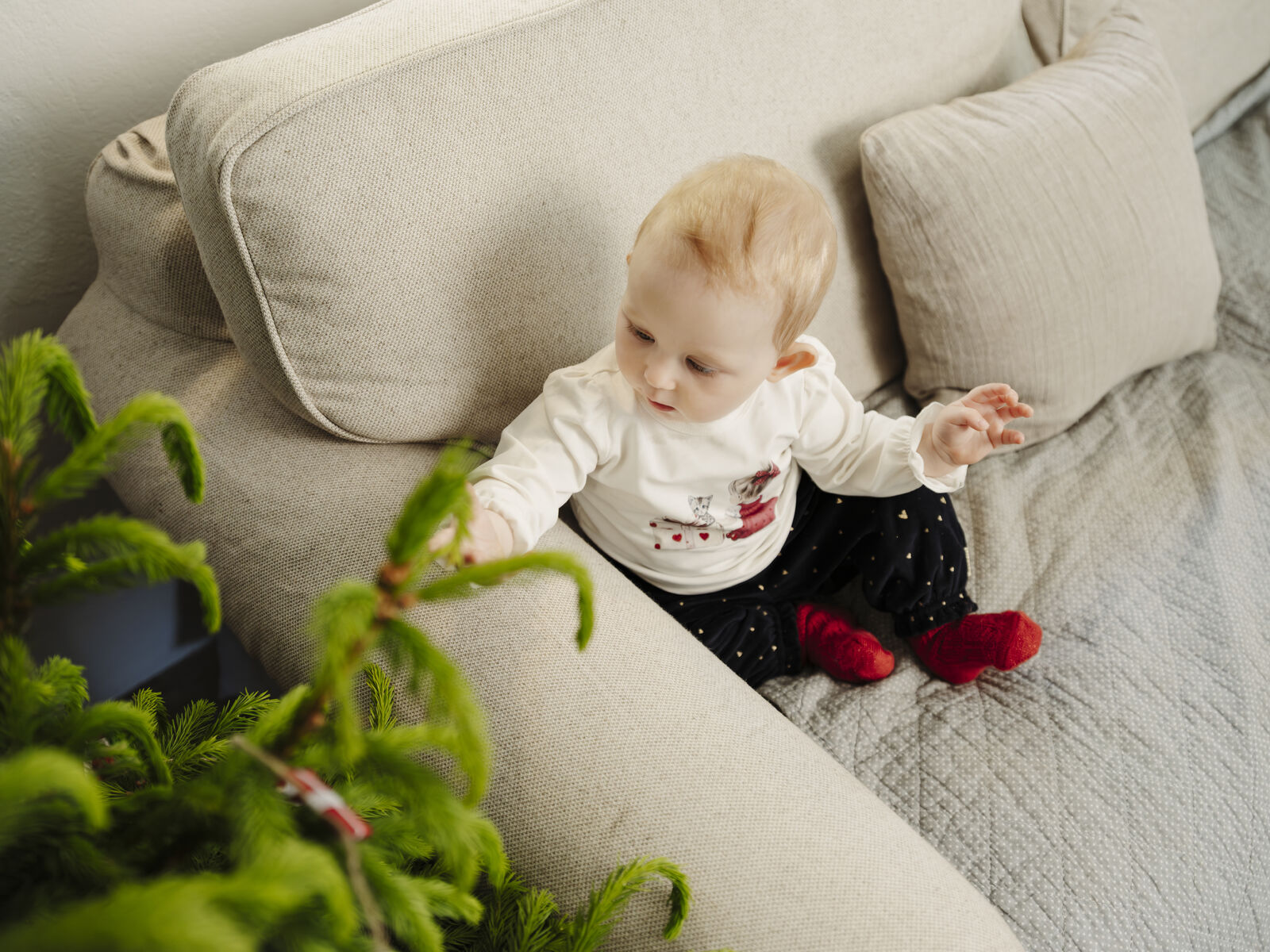 Hust & Claire "Body langarm" mit Druck - Sugar