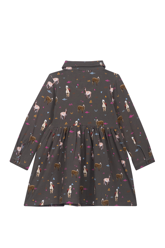 Someone Kleid "ISSA"