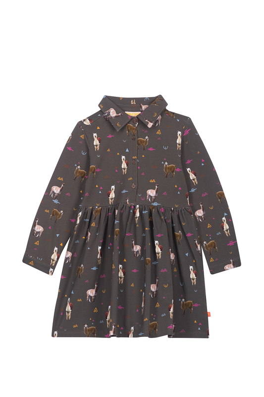 Someone Kleid "ISSA"