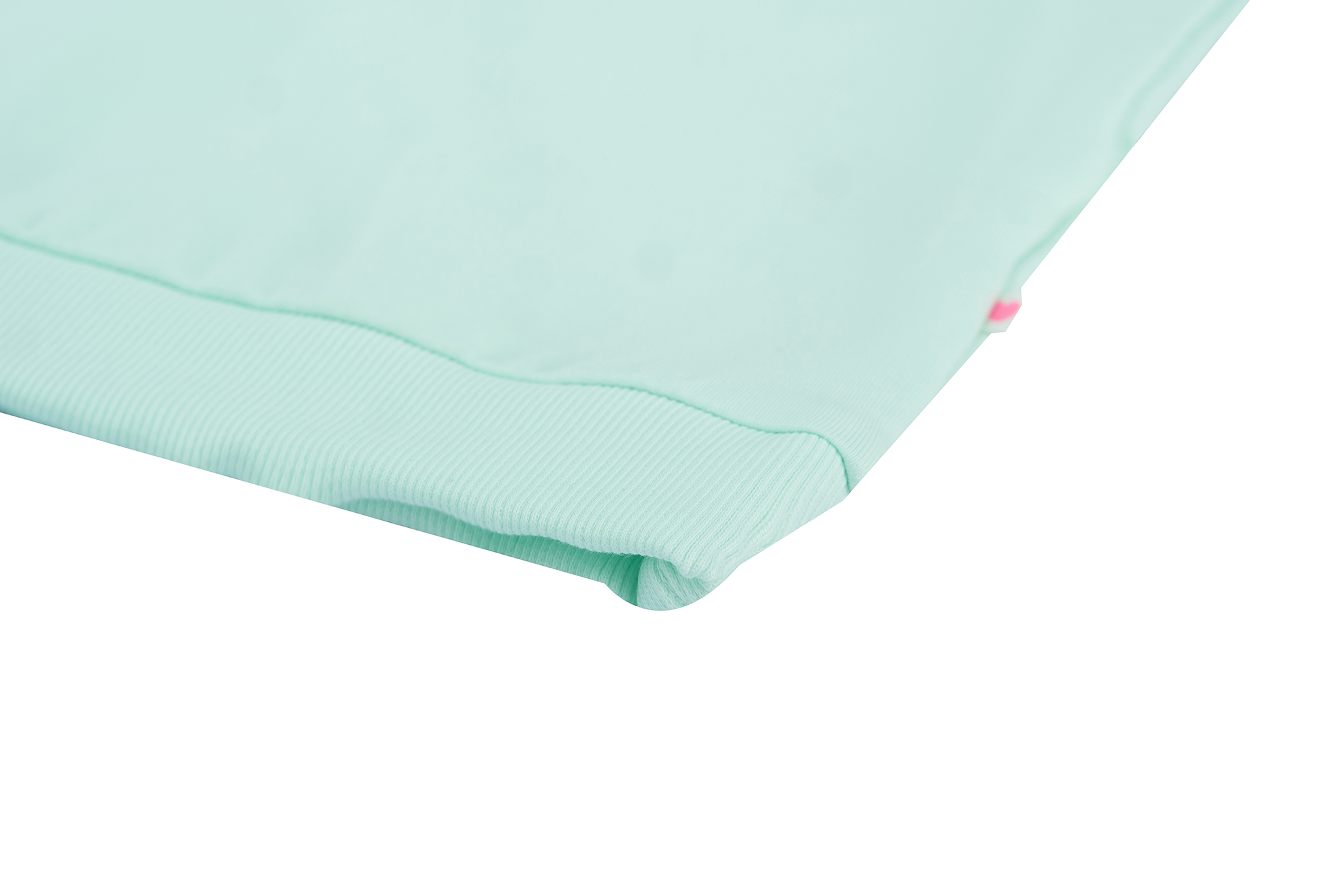 Someone Sweatshirt Jardin mit Rückendruck - Mint