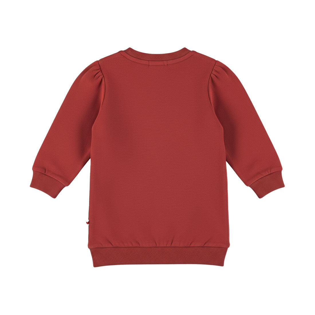 Dirkje Sweatkleid mit Druck - Rosewood