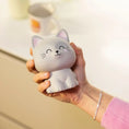 Bild in Galerie-Betrachter laden, Antistress - Kitty - Stress Less
