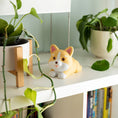 Bild in Galerie-Betrachter laden, Antistress - Corgi - Stress Less
