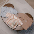 Bild in Galerie-Betrachter laden, Dirkje "Wickelbodys" 3er Pack - Multi Color
